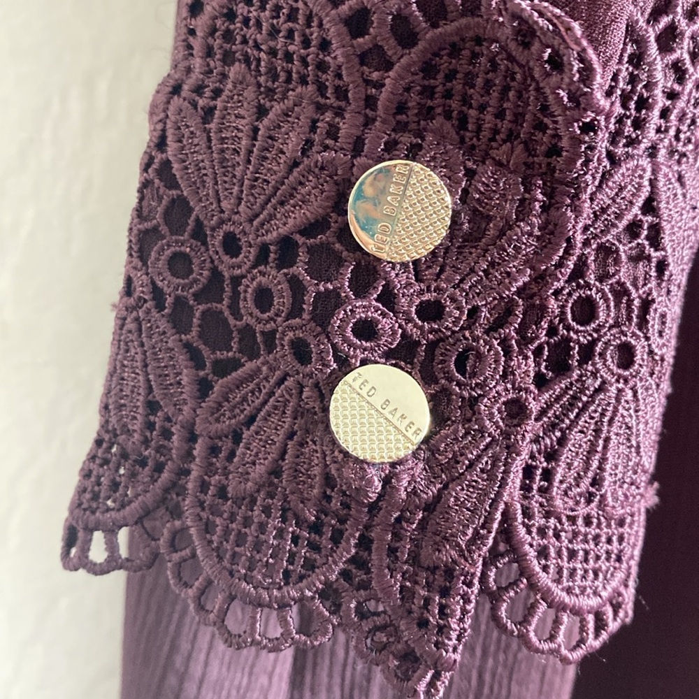 TED Baker London Elegant Lace Detail Burgundy Dress - Picture 14 of 16